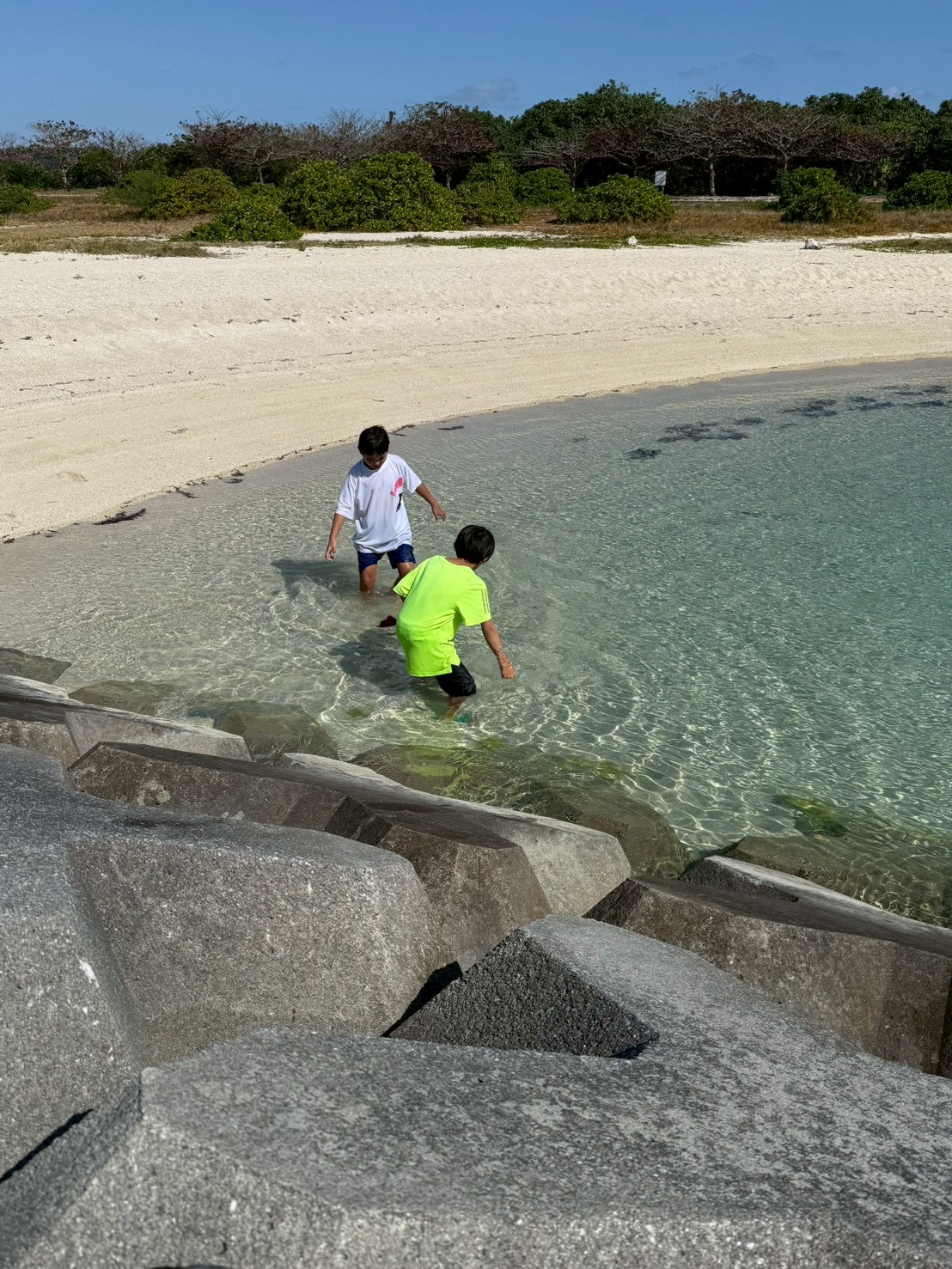 ④言語・コミュニケーション